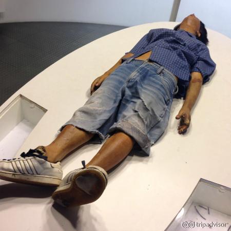 Don't mess with snakes