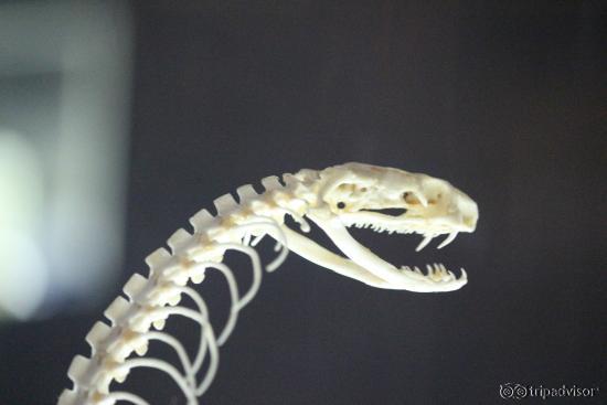 Indoor Educational Exhibits