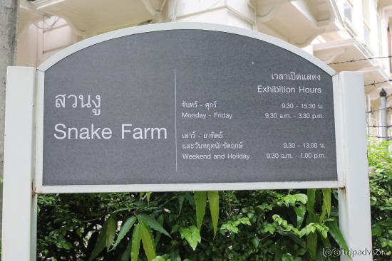 The Snake Farm
