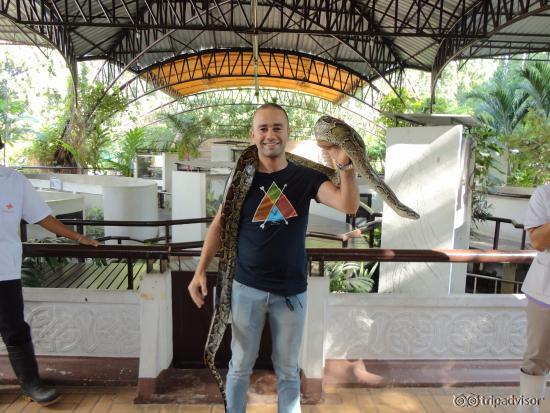 free photos with snake