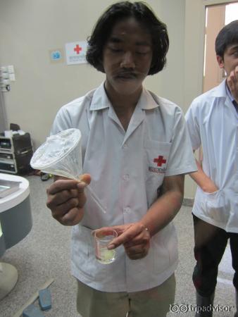 The deadly results of venom milking.