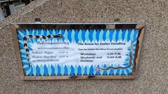 schedule // visiting hours