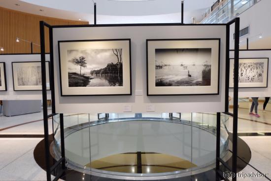 Black and White Thai Landscape