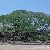 ความสวยงามของกาญจนบุรี