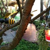 สวนผึ้งราชบุรี