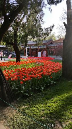 20150422_165759_large.jpg