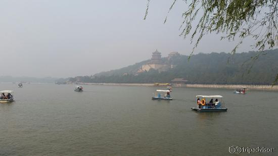 20151016_230516_large.jpg