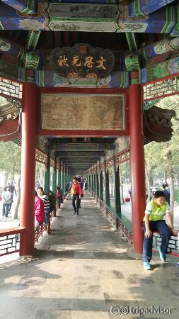 20151017_115256_large.jpg
