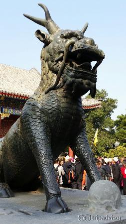 20151019_092018_large.jpg