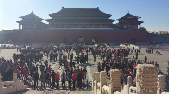 20151031_094842 (1)_large.jpg