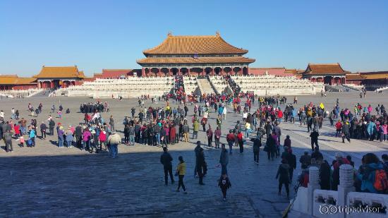20151031_095019 (1)_large.jpg