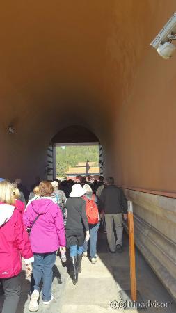 20151031_111436 (1)_large.jpg