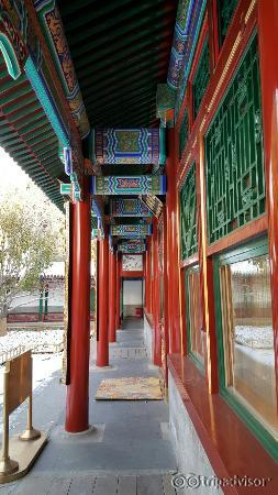 20151125_154749_large.jpg