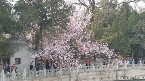 20160321_150033_large.jpg