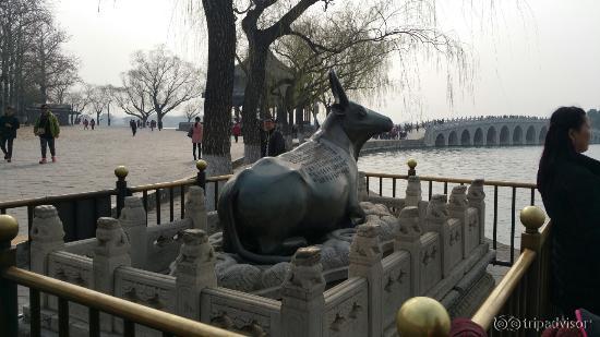 20160321_153339_large.jpg