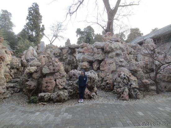 All Chinese gardens are meant to include rocks
