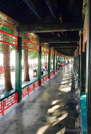 Beautiful Summer Palace