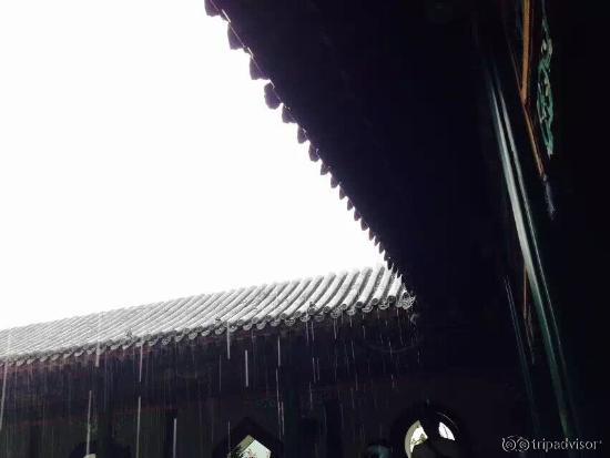 雨中庭院