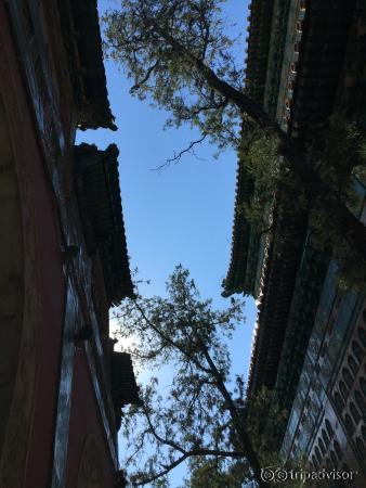 万寿山