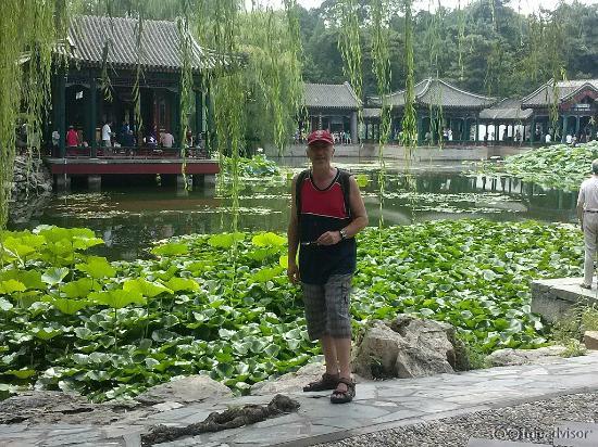 Garden of Harmonious Pleasures