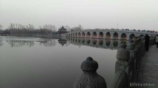 IMG_20151212_162544_large.jpg