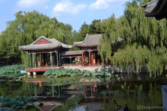 Summer Palace