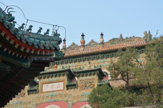 Temple