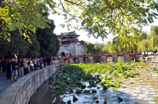 Lac de lotus près de l'entrée.