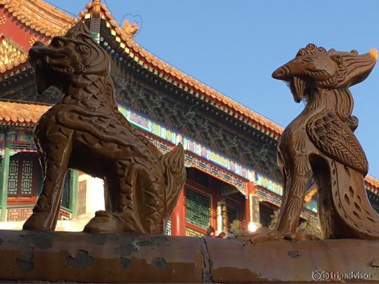 photo1.jpg