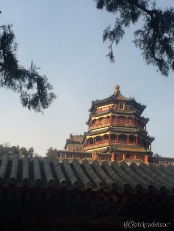 photo1.jpg