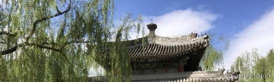 photo2.jpg