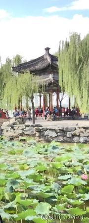 photo4.jpg