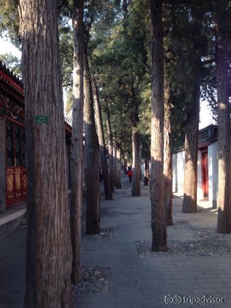 photo6.jpg