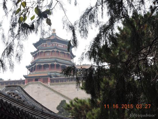 photo9.jpg