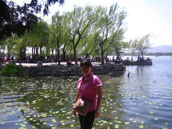 Breezy Kunming Lake
