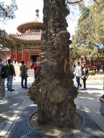 Summer Palace Grounds