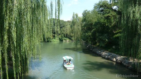 In the Summer Palace gardens