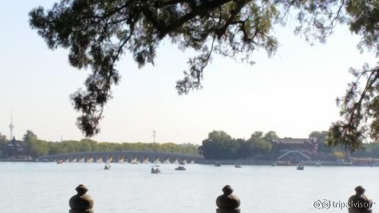 View of the lake