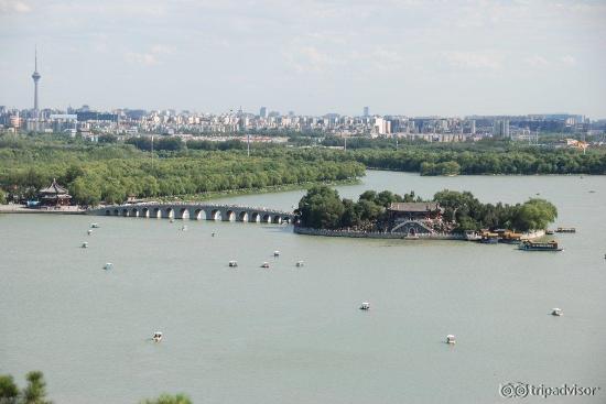 Overview from Longevity Hill