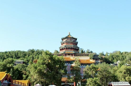 The Palace