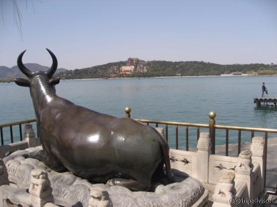 The bronze ox of the summer palace