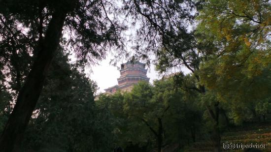 The Pagoda