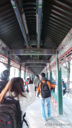 The long walk
