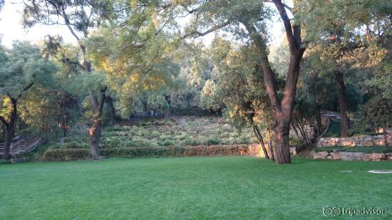 Lovely Lawns