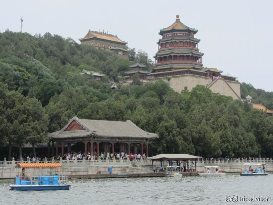 Longevity Hill