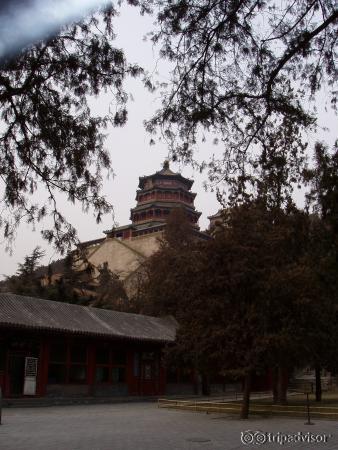Summer Palace