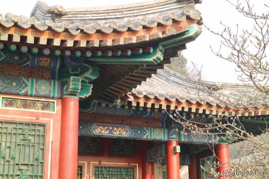 Nice roofs