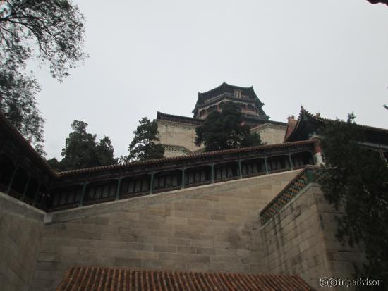in the courtyard, looking up