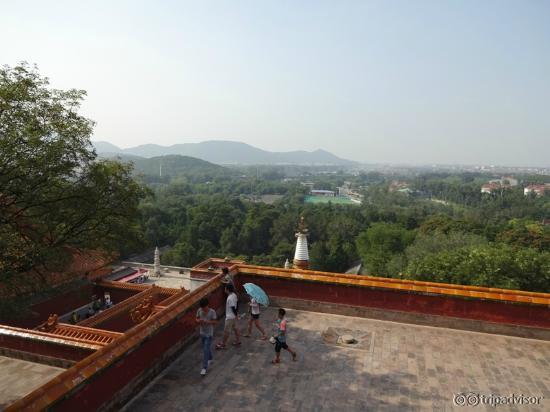 Summer Palace