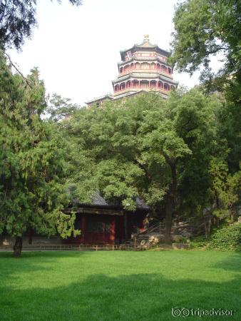 Summer palace set in lush green foliage